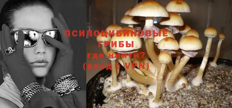 Галлюциногенные грибы MAGIC MUSHROOMS  Искитим 